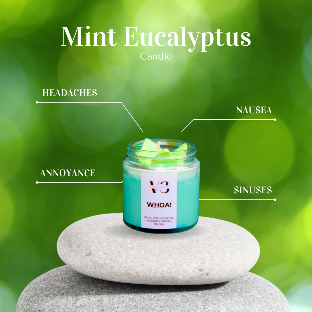 Mint Eucalyptus Candle Vcube Scenting